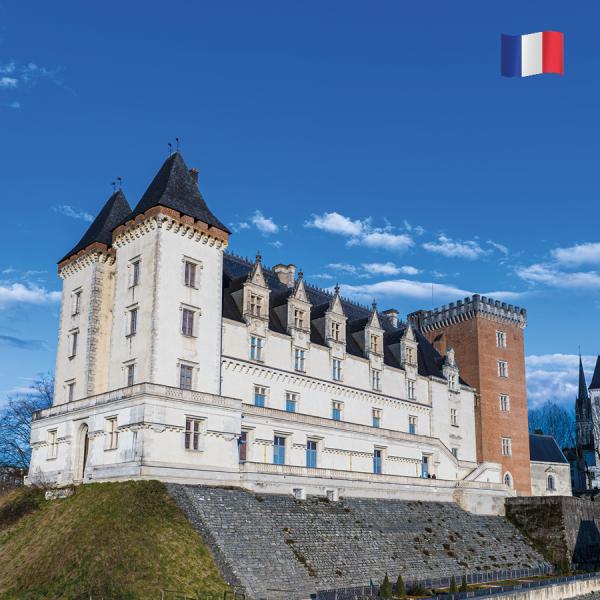 Visite du Château de Pau